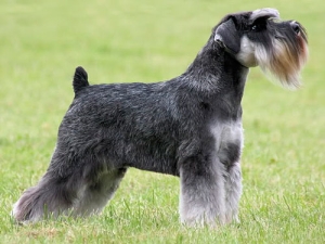 ��� ����� �������� � ����� �� �����?