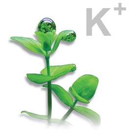 ����� � ���������